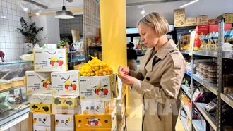 5 năm thực thi EVFTA: Bước chuyển mình mạnh mẽ trong quan hệ thương mại Việt Nam - Pháp