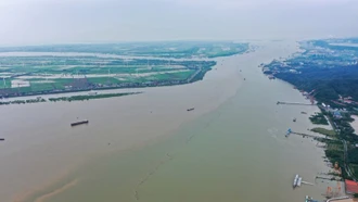 Trung Quốc khánh thành cầu dây văng hai tầng đầu tiên bắc qua sông Dương Tử