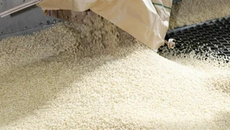 Giá gạo xuất khẩu giảm nhẹ do nhu cầu yếu