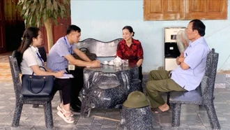 Đẩy nhanh tiến độ thu thập thông tin Tổng điều tra nông thôn, nông nghiệp năm 2025
