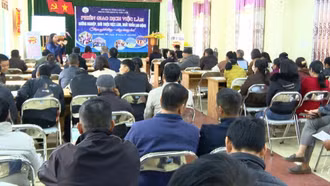 Phường Trung Tâm tư vấn cơ hội việc làm trong nước và đi làm việc ở nước ngoài theo hợp đồng