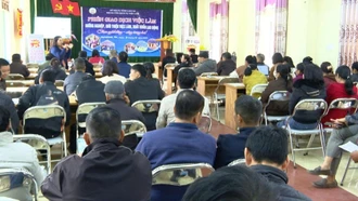 Phường Trung Tâm tư vấn cơ hội việc làm trong nước và đi làm việc ở nước ngoài theo hợp đồng