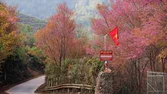 Xã Mù Cang Chải chuẩn bị tổ chức Festival Khèn Mông, Lễ hội Hoa tớ dày và hoạt động chào năm mới