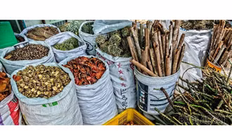 Ra mắt thư viện số toàn cầu về y học cổ truyền