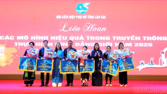 Liên hoan các mô hình hiệu quả trong truyền thông thực hiện bình đẳng giới 