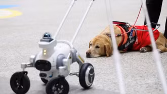 Dịch vụ chó dẫn đường thông minh đầu tiên trên thế giới ở Trung Quốc