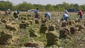 Mỹ tăng cường xúc tiến thương mại nông nghiệp với Việt Nam và một số nước