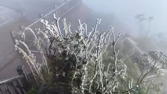 Các tỉnh, thành phố chủ động ứng phó với rét đậm, rét hại và gió mạnh trên biển