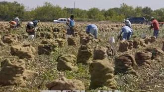 Mỹ tăng cường xúc tiến thương mại nông nghiệp với Việt Nam và một số nước