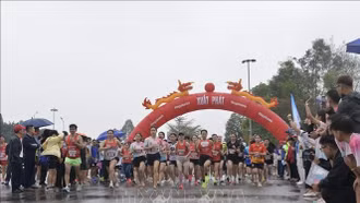 Trên 8.000 người tham gia Ngày chạy Olympic vì sức khỏe toàn dân 2026