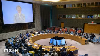 Hội đồng Bảo an Liên hợp quốc nhóm họp khẩn cấp về vụ Mỹ tấn công Iran