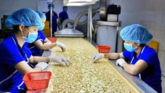 Nông sản Việt tái cấu trúc để khẳng định vị thế