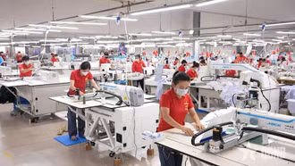 30 năm trên hành trình ra biển lớn