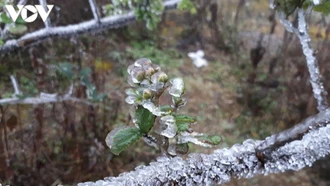 Bắc Bộ đón không khí lạnh, trời chuyển rét, nhiệt độ có nơi xuống dưới 14 độ