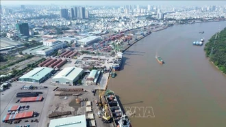 Doanh nghiệp, ngành hàng đối phó gián đoạn vận chuyển hàng hải