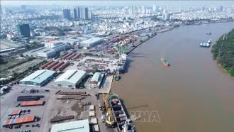 Doanh nghiệp, ngành hàng đối phó gián đoạn vận chuyển hàng hải