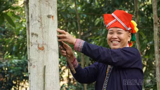 Làm chủ kinh tế giúp phụ nữ nâng cao vị thế xã hội