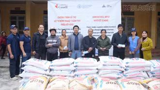  Hỗ trợ trên 400 tấn phân bón cho các hộ bị ảnh hưởng bởi bão Yagi 