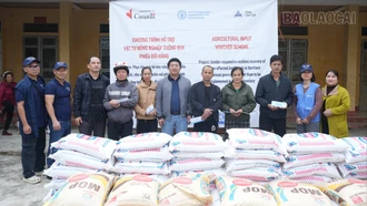  Hỗ trợ trên 400 tấn phân bón cho các hộ bị ảnh hưởng bởi bão Yagi 