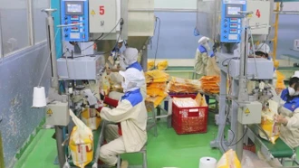 Việt Nam tiếp tục là đối tác xuất khẩu gạo lớn thứ 3 tại Singapore