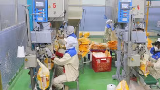 Việt Nam tiếp tục là đối tác xuất khẩu gạo lớn thứ 3 tại Singapore