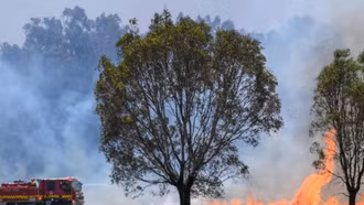 Australia đối mặt với nguy cơ cháy rừng nghiêm trọng