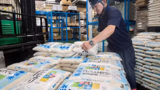 Giá gạo nội địa quá cao, Nhật Bản chứng kiến làn sóng nhập khẩu kỷ lục