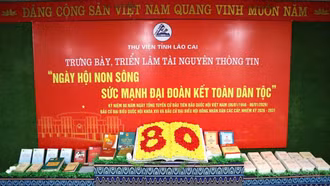 Thư viện tỉnh Lào Cai trưng bày ấn phẩm kỷ niệm 80 năm Ngày Tổng tuyển cử đầu tiên bầu Quốc hội Việt Nam
