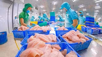 Xuất khẩu nông lâm thủy sản: Thách thức và cơ hội đan xen để cán mốc 65 tỷ USD