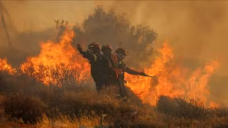 Gió mạnh thổi bùng cháy rừng ở Hy Lạp, hơn 1.000 người phải sơ tán