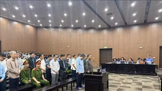 Vụ cựu Thứ trưởng Bộ Nông nghiệp và Phát triển nông thôn: Xét xử vắng mặt 2 bị cáo