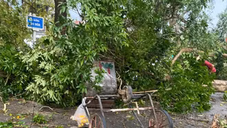 Nữ công nhân môi trường quên mình cứu người trong dông lốc