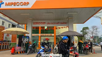 Tiết kiệm xăng dầu: Chỗ nào làm việc trực tuyến được thì nên khuyến khích