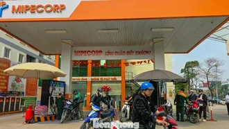 Tiết kiệm xăng dầu: Chỗ nào làm việc trực tuyến được thì nên khuyến khích