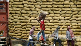 Thị trường gạo và ngũ cốc chịu áp lực từ chi phí vận tải tăng cao