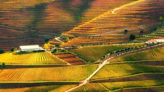 Báo Anh chọn hai điểm đến ở Việt Nam vào top đẹp nhất thế giới