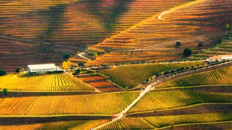 Báo Anh chọn hai điểm đến ở Việt Nam vào top đẹp nhất thế giới