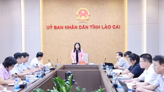 Phó Chủ tịch UBND tỉnh Vũ Thị Hiền Hạnh chủ trì họp triển khai nhiệm vụ về giáo dục và đào tạo
