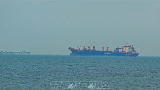 Iran cho phép một số tàu chở ngũ cốc đi qua Eo biển Hormuz