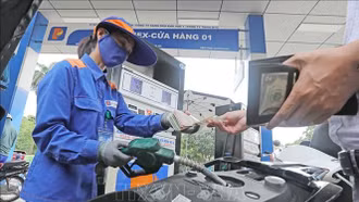 Chỉ đạo quyết liệt, kịp thời bảo đảm an ninh năng lượng quốc gia