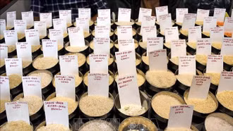 Cước vận tải "ghìm chân" xuất khẩu gạo châu Á