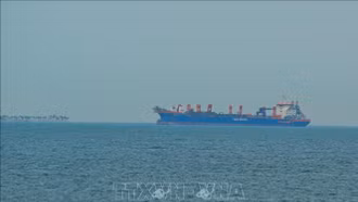 Iran cho phép một số tàu chở ngũ cốc đi qua Eo biển Hormuz