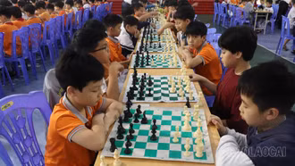 208 kỳ thủ tham gia Giải Cờ vua truyền thống Cúp Lê Văn Tám mở rộng lần thứ XIII