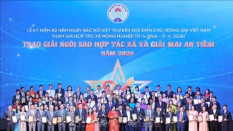 Lào Cai có 2 đơn vị được vinh danh tại Lễ trao Giải Ngôi sao hợp tác xã và Mai An Tiêm năm 2026