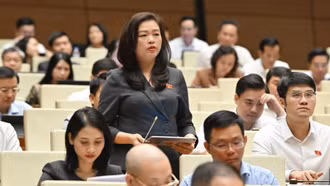 Nghiên cứu mở rộng đối tượng được trợ giúp pháp lý