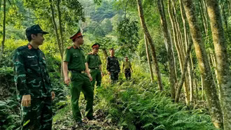 Bát Xát tăng cường tuyên truyền phòng, chống cháy rừng