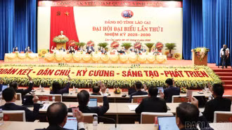 Lào Cai phát động Cuộc thi trắc nghiệm trực tuyến tìm hiểu về Nghị quyết Đại hội Đảng bộ tỉnh lần thứ I, nhiệm kỳ 2025 - 2030