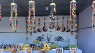 Quả từ rừng - tình thương gửi trẻ