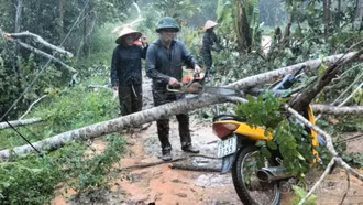 Hoàn lưu bão số 10 gây thiệt hại nặng nề, ước tính ban đầu khoảng 5 tỷ đồng