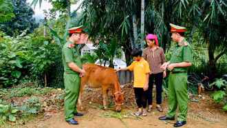 Lào Cai: Công an xã Văn Bàn trao bò giống, tạo sinh kế cho hộ nghèo